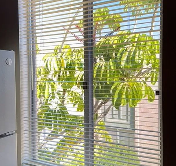 Large 2 bedroom Apartment in Clairemont — Photo 11