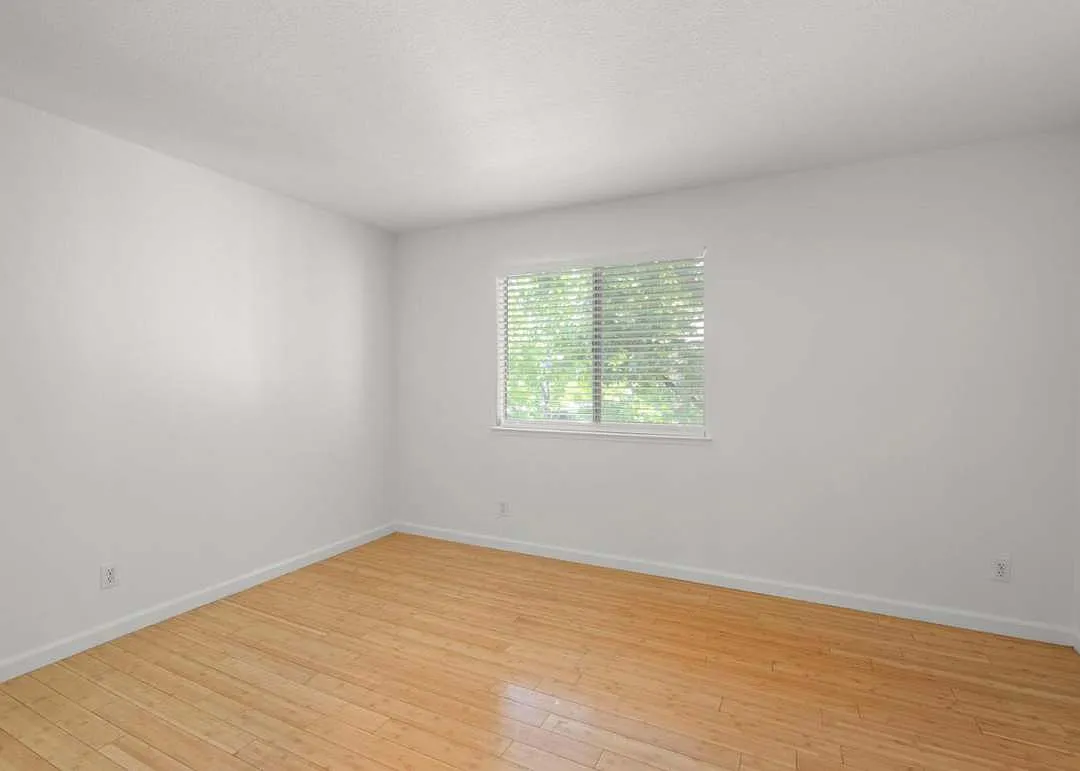 1 bed, 648 sqft, $2,650 — Photo 2