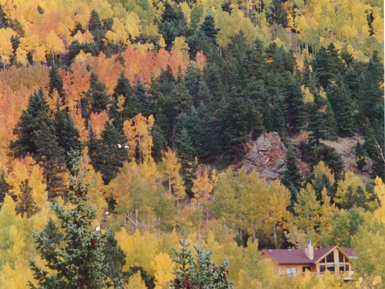 Snyder Mountain Rd — Photo 2