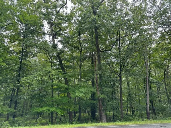 220 Mattison Reservoir Ave, Frankford Twp., NJ 07826