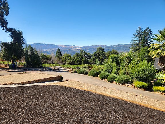 Vineyard and valley views
