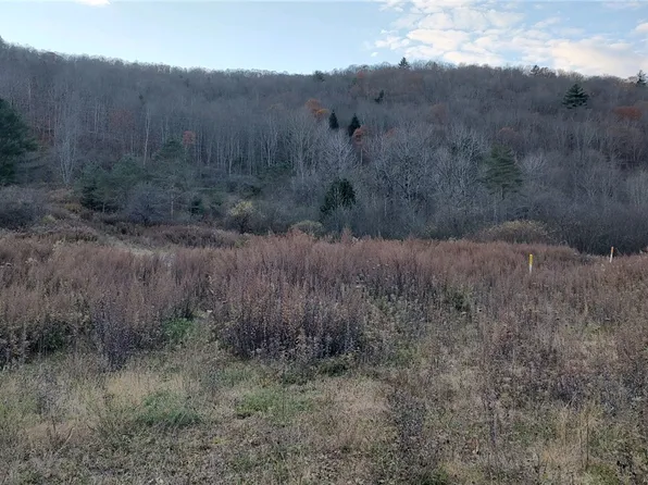 0 County Highway 67, Hancock, NY 13783