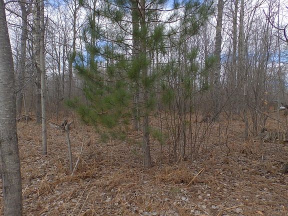 4th image of Pineview Dr