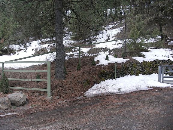 Driveway entry