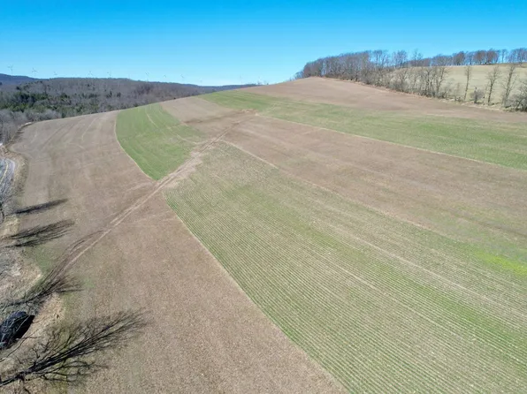 0 Warrens Mill Rd, Meyersdale, PA 15552