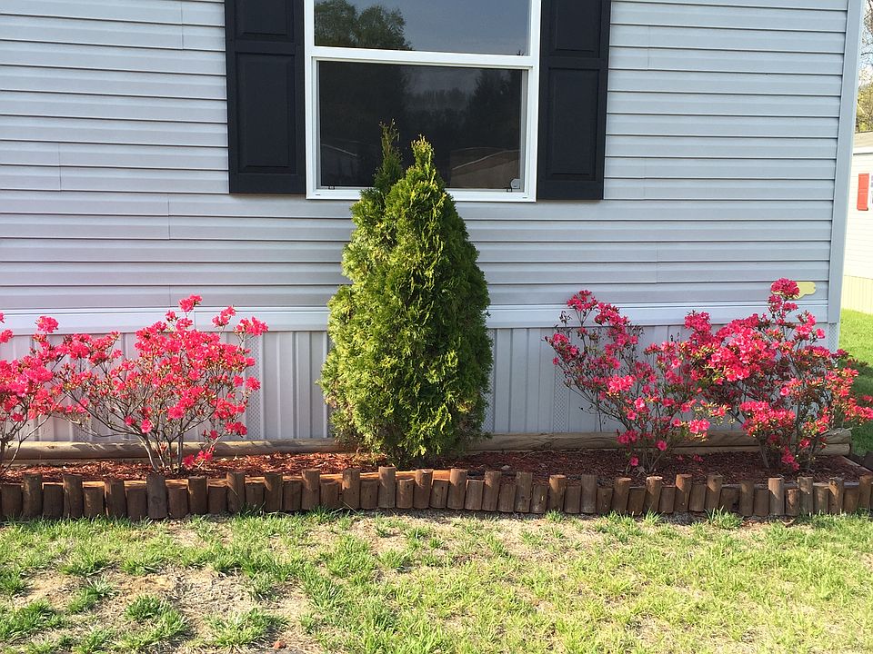 Spring Flowers
