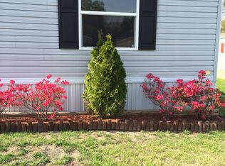 20 Moores Creek Ln, Candler, NC 28715