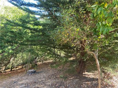 0 Wilton Dr, CAMBRIA, CA, 93428