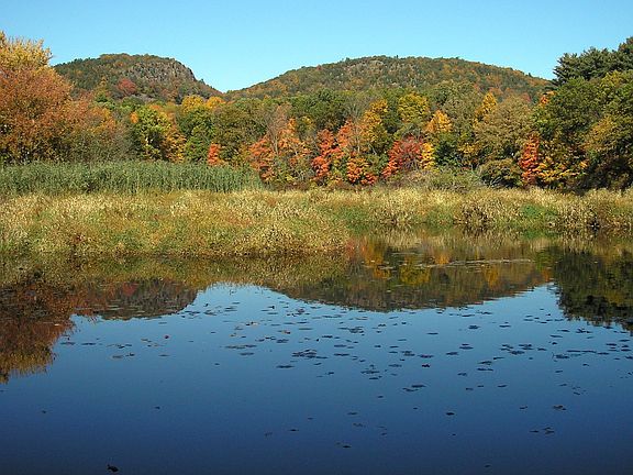 View from the back yard in the Fall