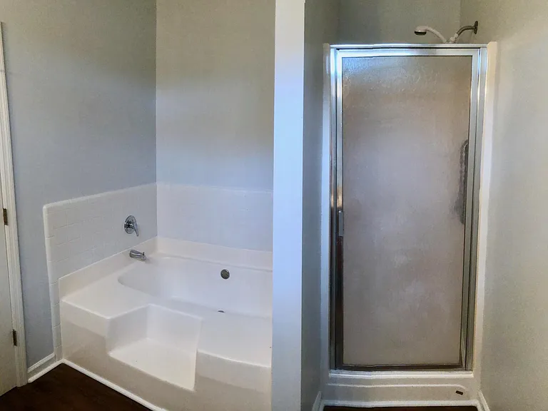 Garden Tub and Shower
