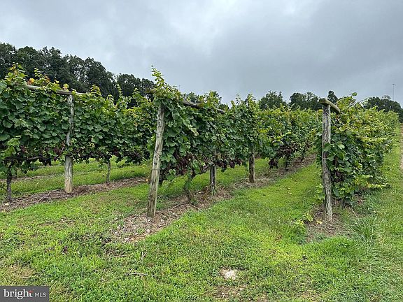 5th image of 3899 Eakin Farm Rd