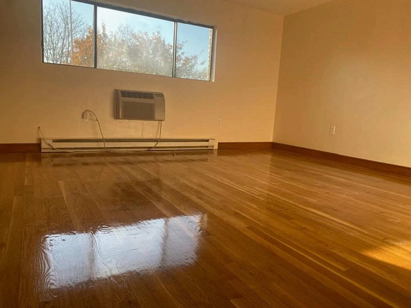 836 Sea St — Photo 3