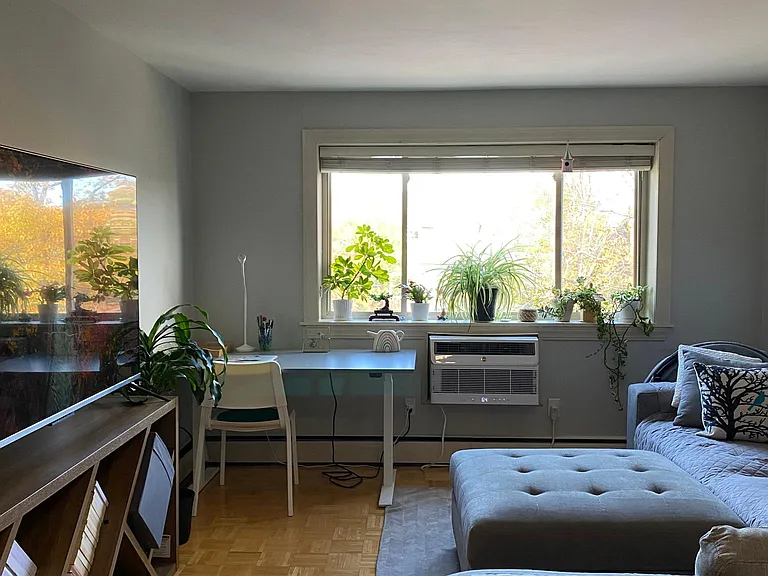 329 Harvard St #32 — Photo 8