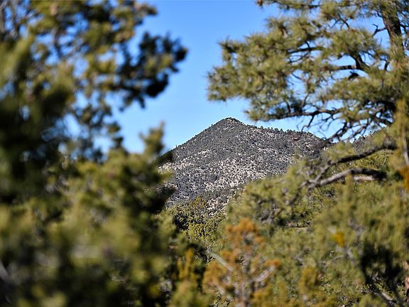 3rd image of 202 Double Arrow Rd S