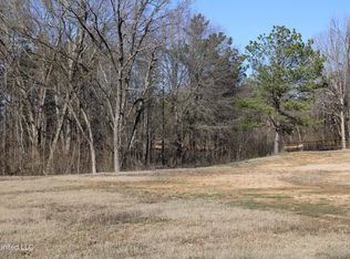 3901 Watson Desoto Rd, Byhalia, MS 38611