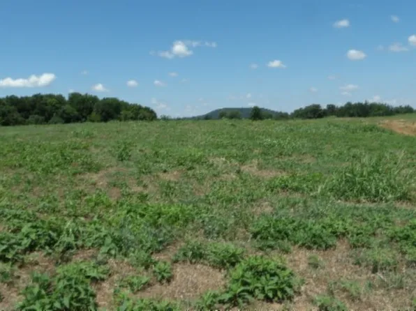 0 Ranchside Ct Lot 38, Rock Island, TN 38581
