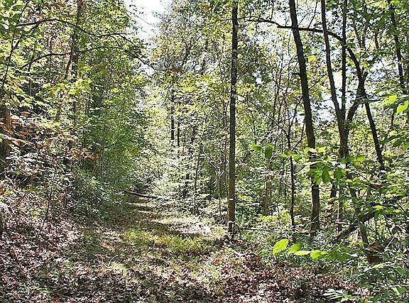 4th image of 0 Highway 52