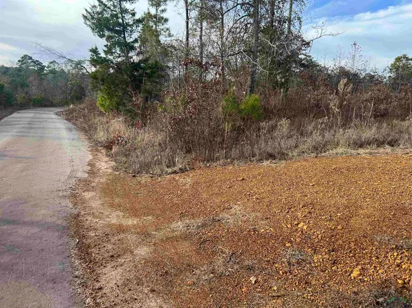 Tbd Cr 2931, Hughes Springs, TX 75656