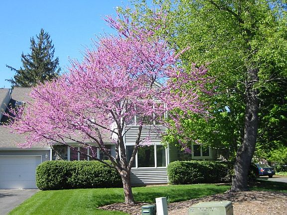 Side of Home