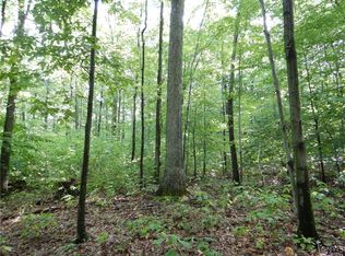 Bull Hill Rd, Newfield, NY 14867