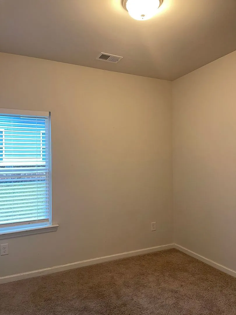 Great 3 Bed 2 Bath Brick Ranch in Brand New Community! — Photo 4