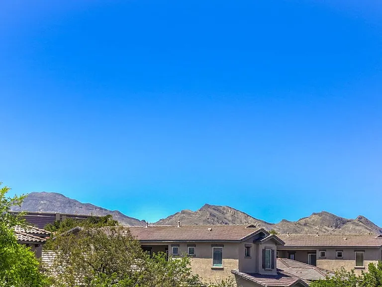 10517 Howling Coyote Ave — Photo 28