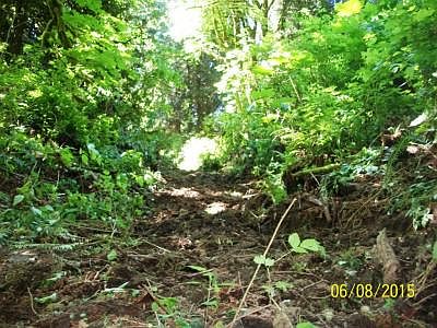 5th image of 1404 171st Ave SE