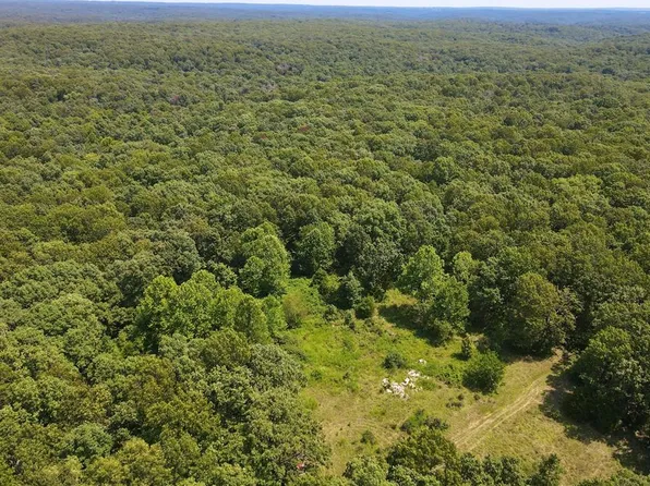 33001 Panther Way, Cole Camp, MO 65325
