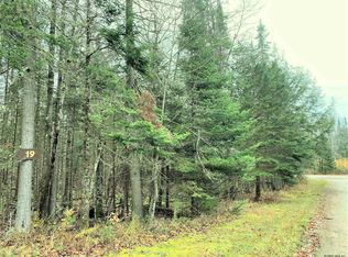 S Deerpath Trl, Indian lake, NY 12842