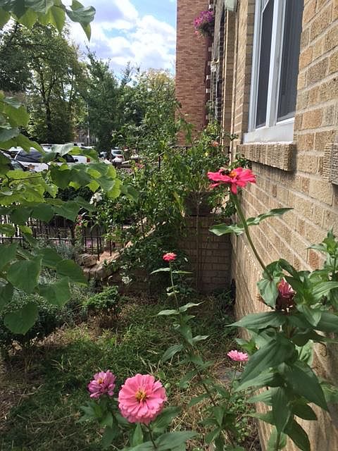 2nd image of 3052 36th St