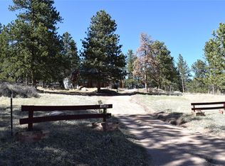 89 Little Spring Ln, Bailey, CO 80421