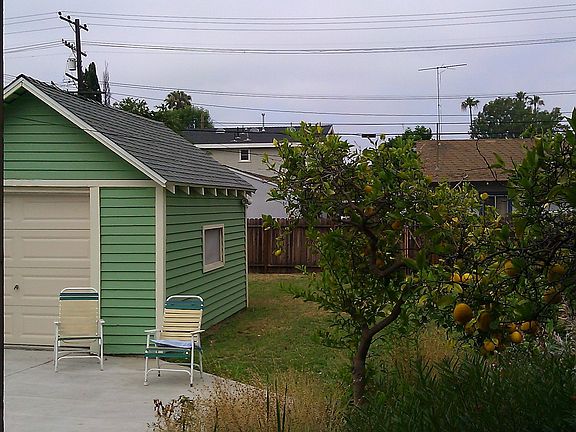 Backyard w/shed
