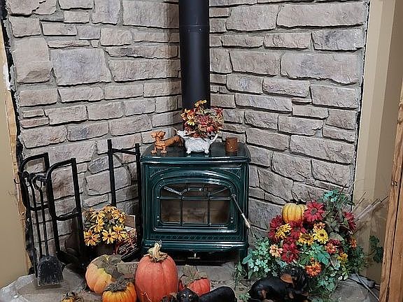 LR wood stove