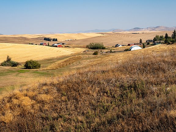 Wheat Fields & Barns