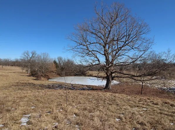 000 County Road 260, Myrtle, MO 65778