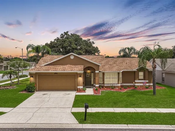 24213 Twin Lake Dr, Land O Lakes, FL 34639