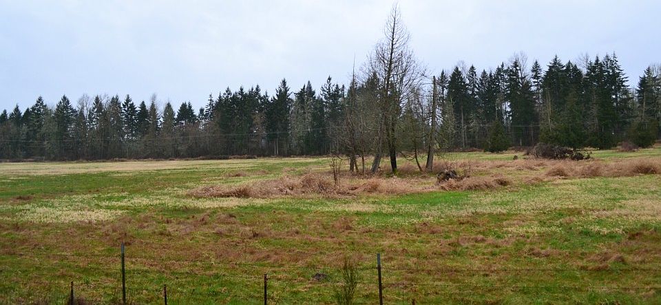 2nd image of 20328 40th Ave E