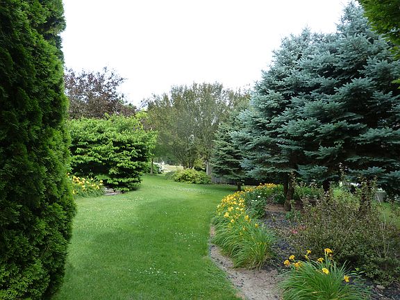 landscaping creates privacy