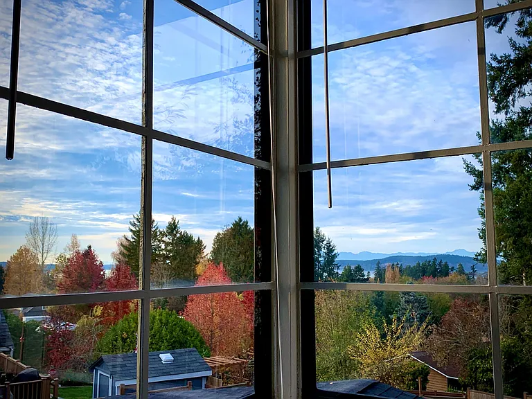 View from dining & kitchen level