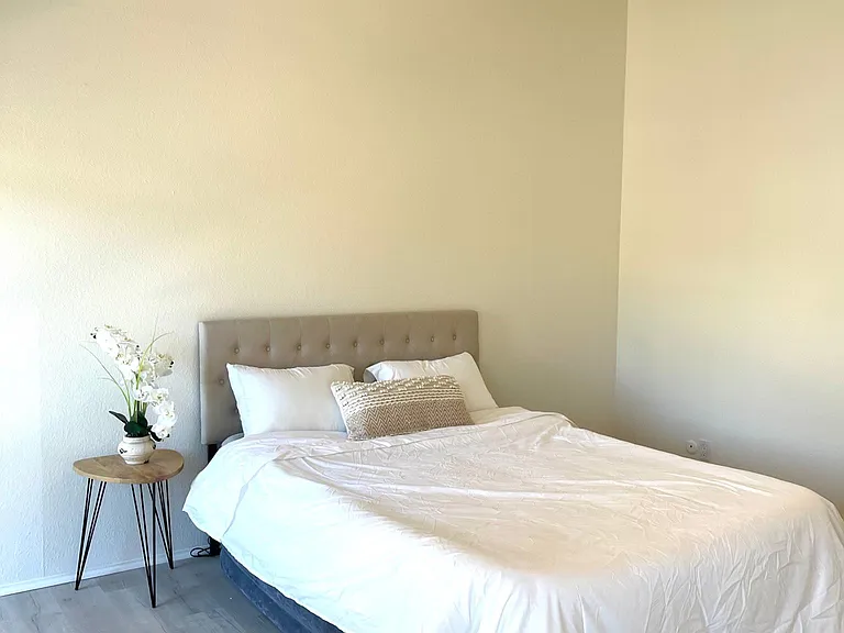 8017 Caminito Gianna — Photo 12