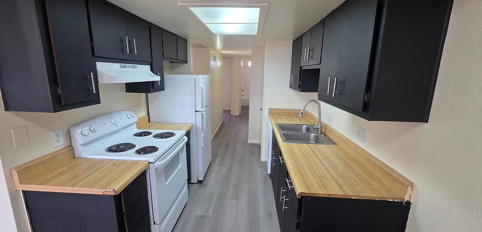 2 bed, 740 sqft, $1,250 — Photo 2