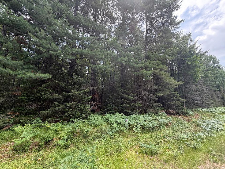 2nd image of LOT 2 Watersmeet Lake Rd