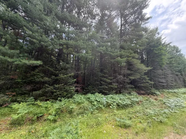 LOT 2 Watersmeet Lake Rd, Eagle River, WI 54521