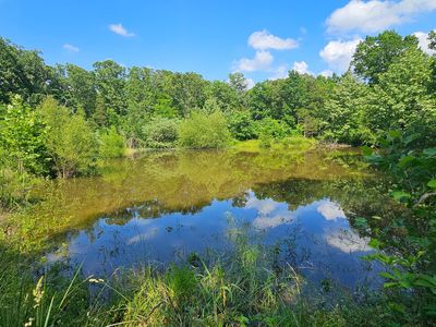 65 Gunslinger Drive, Brixey, MO, 65618