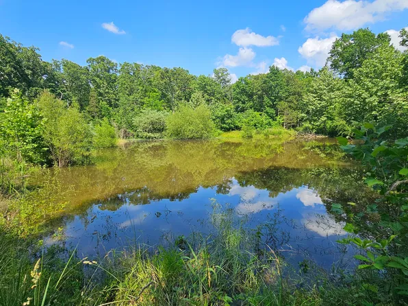 65 Gunslinger Drive, Brixey, MO 65618