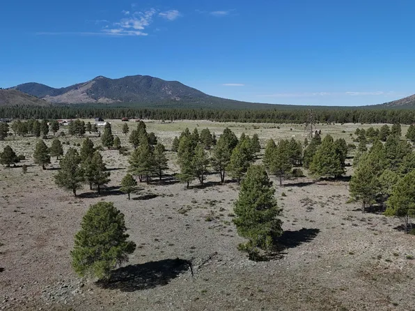 10440 N Forest Service 144 Rd #144, Williams, AZ 86046