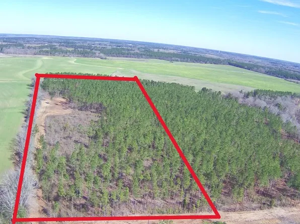 0-1 Ozark Rd, Newville, AL 36353
