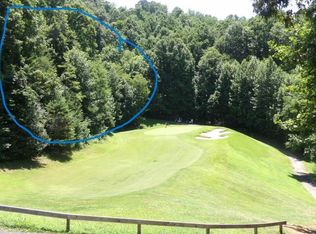 2 White Oak Point, Bryson City, NC 28789