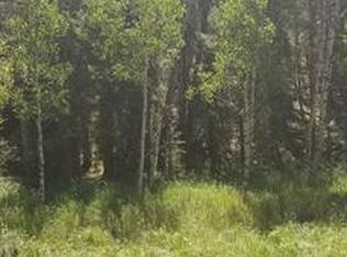 502 Spring Valley Ln, Florissant, CO 80816