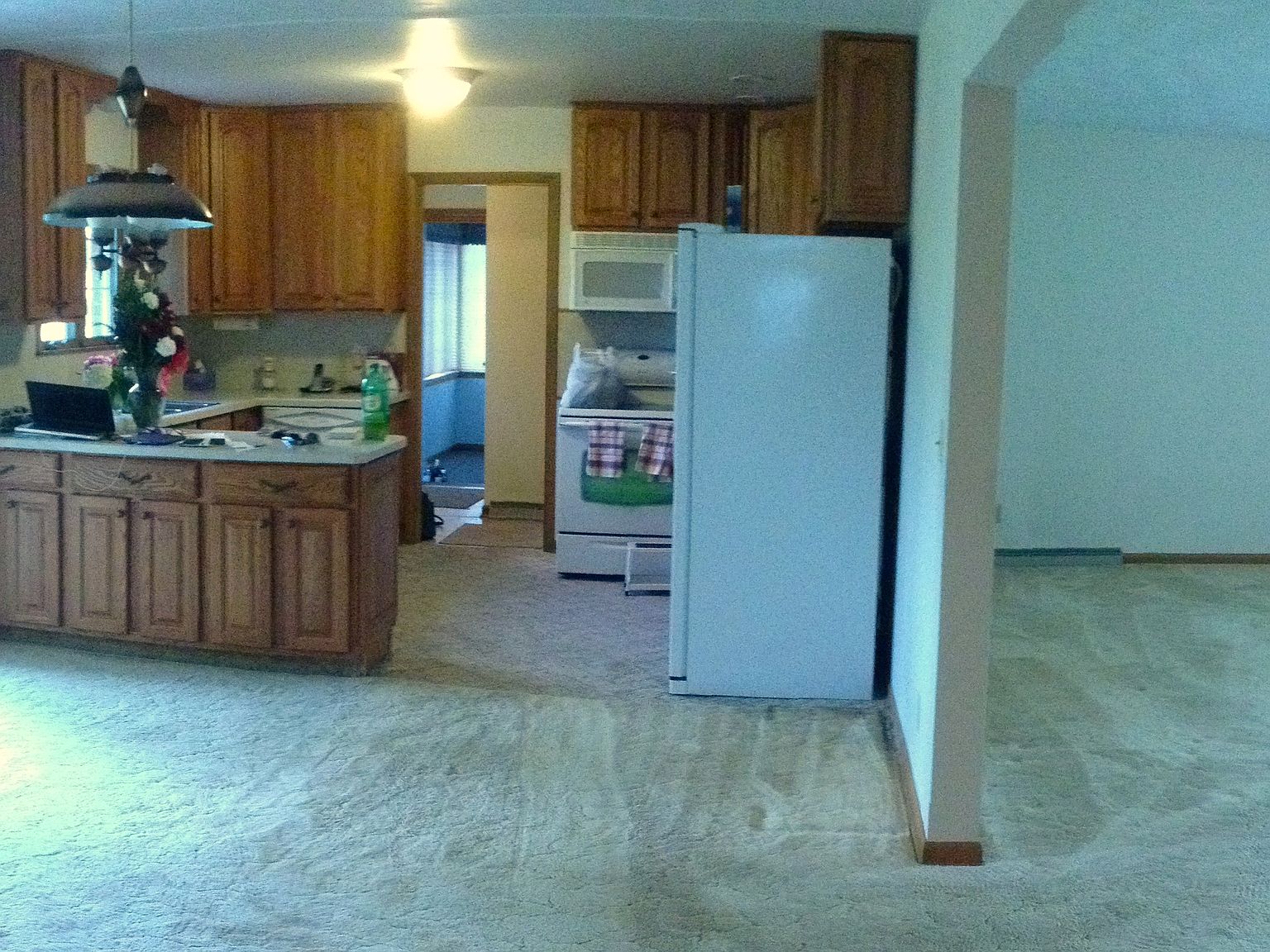 311 N Carole Dr, Elsie, MI 48831 Zillow